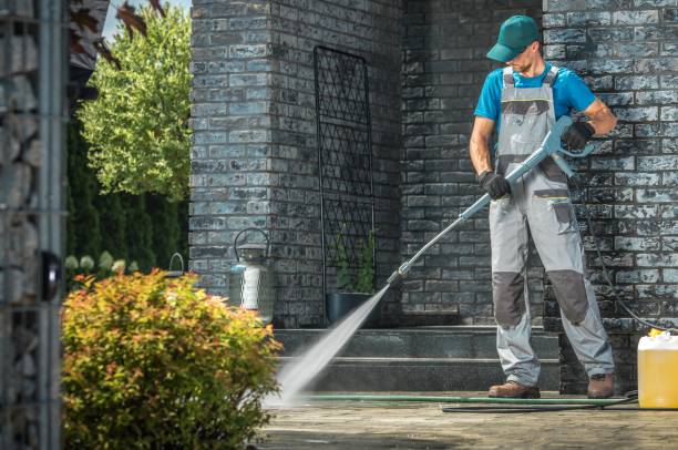 Best Solar Panel Cleaning  in Westchase, FL