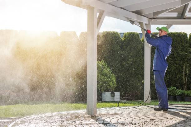 Best Driveway Pressure Washing  in Westchase, FL